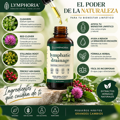 LYMPHORIA™ | Gotas Herbales para el Bienestar Linfático y una Sensación de Ligereza